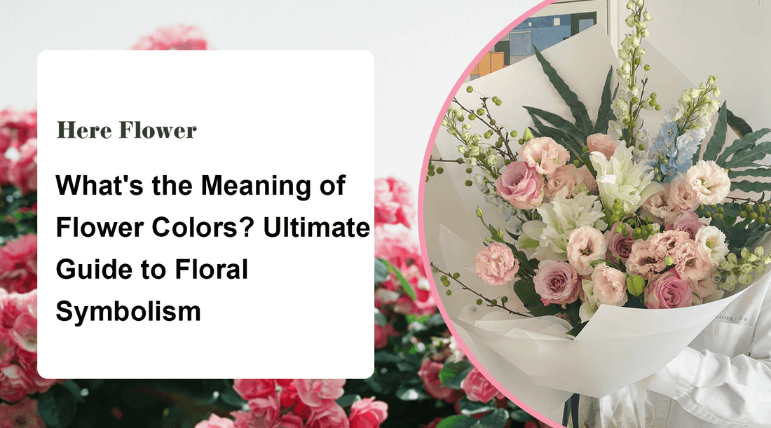 What's the Meaning of Flower Colors? Ultimate Guide to Floral Symbolism