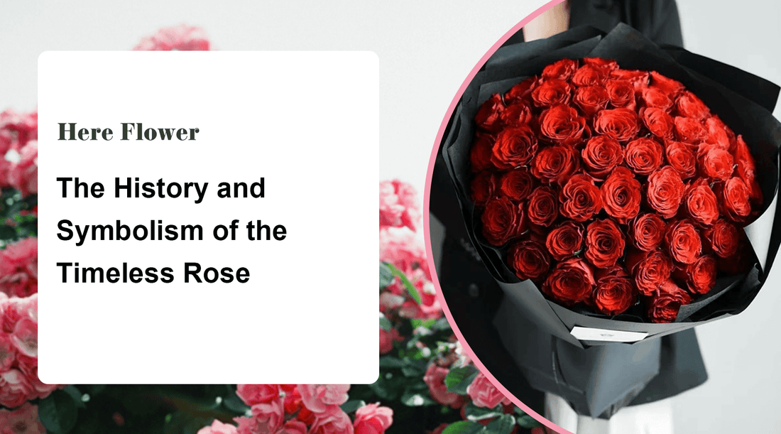 The History and Symbolism of the Timeless Rose