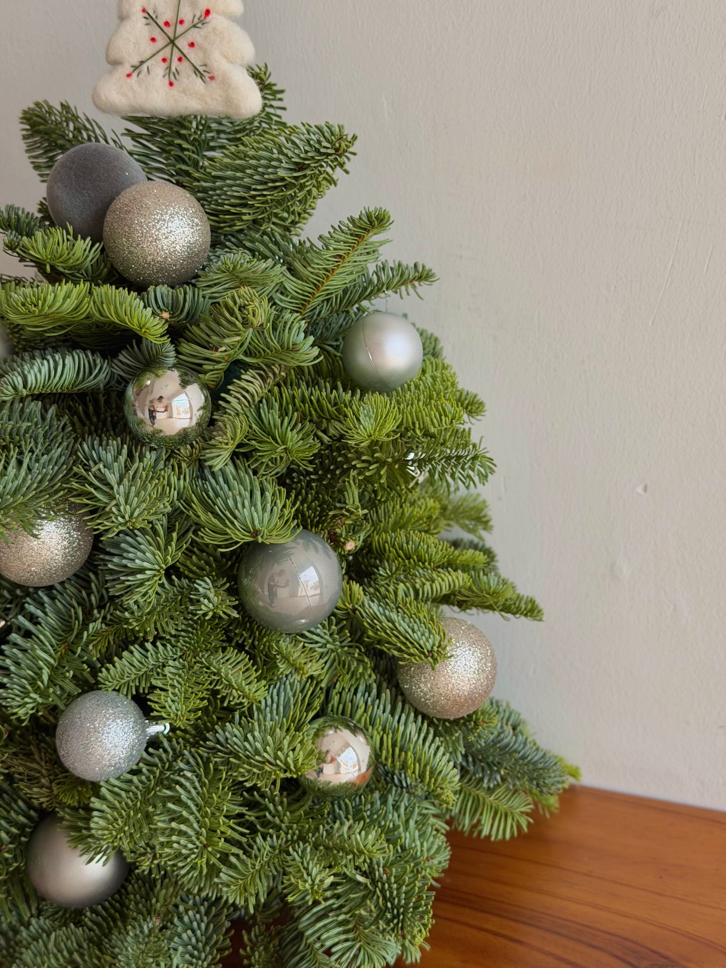 Silver Frost Winter Tree