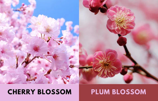 Flowers choice for Chinese Lantern Festival