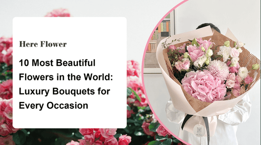10 Most Beautiful Flowers in the World: Luxury Bouquets for Every Occasion