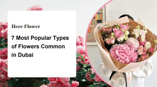 7 Most Popular Types of Flowers Common in Dubai