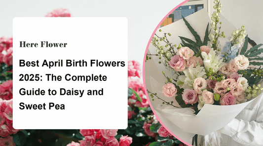 Best April Birth Flowers 2025: The Complete Guide to Daisy and Sweet Pea Arrangements