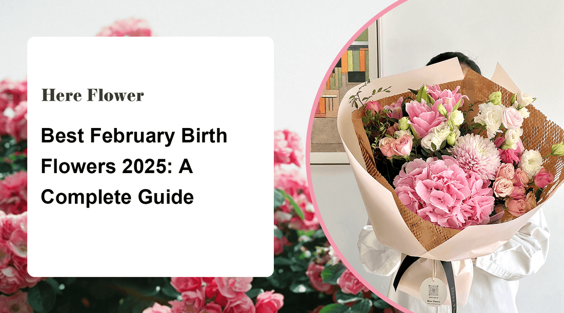 Best February Birth Flowers 2025: A Complete Guide