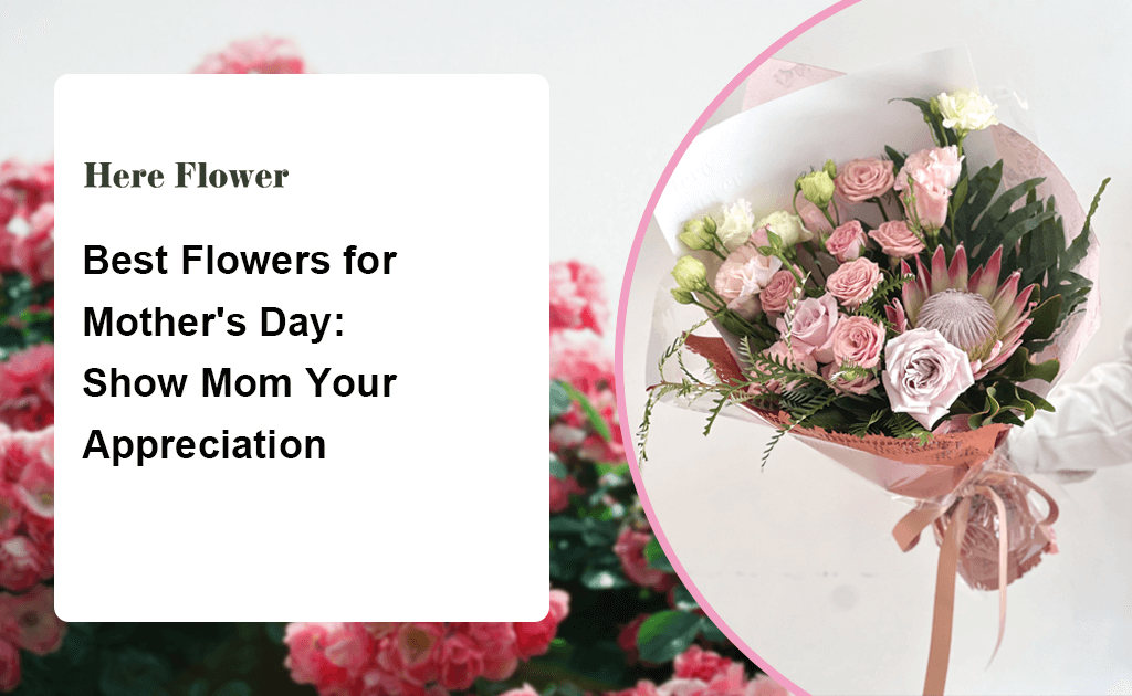 Best Flowers for Mother's Day:  Show Mom Your Appreciation