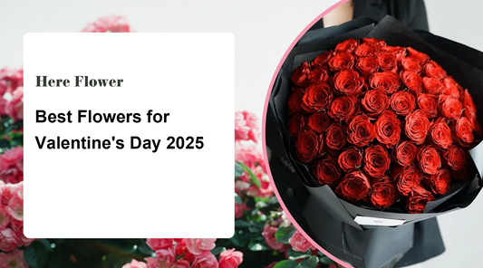 Best Flowers for Valentine's Day 2025