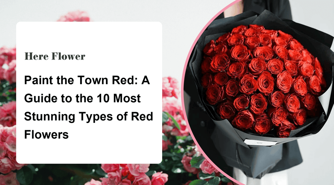 Paint the Town Red: A Guide to the 10 Most Stunning Types of Red Flowers