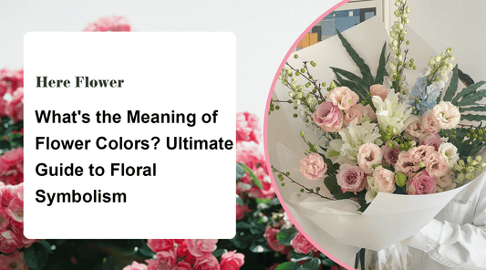 What's the Meaning of Flower Colors? Ultimate Guide to Floral Symbolism