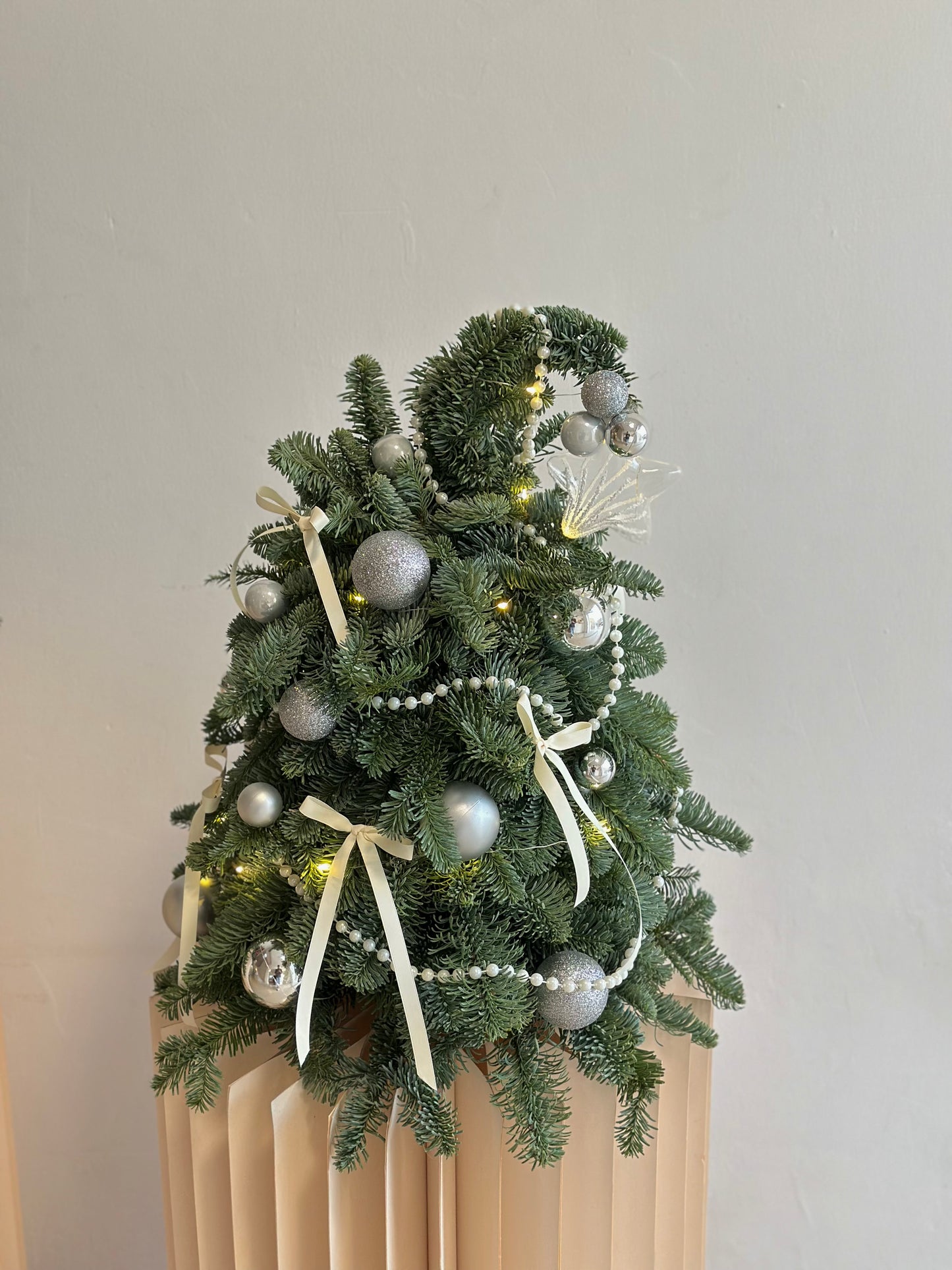 Winter Silver Glow Tree