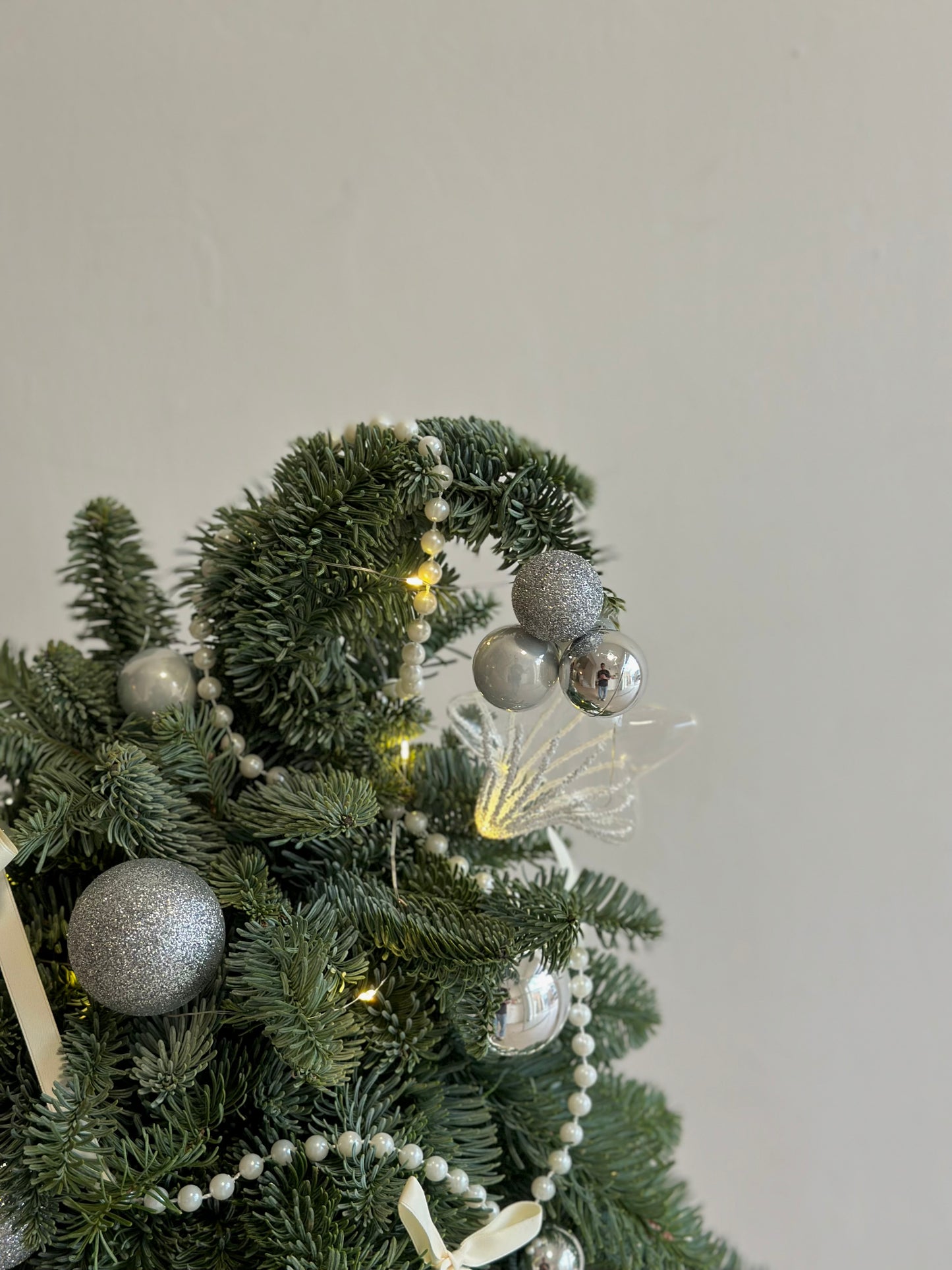 Winter Silver Glow Tree