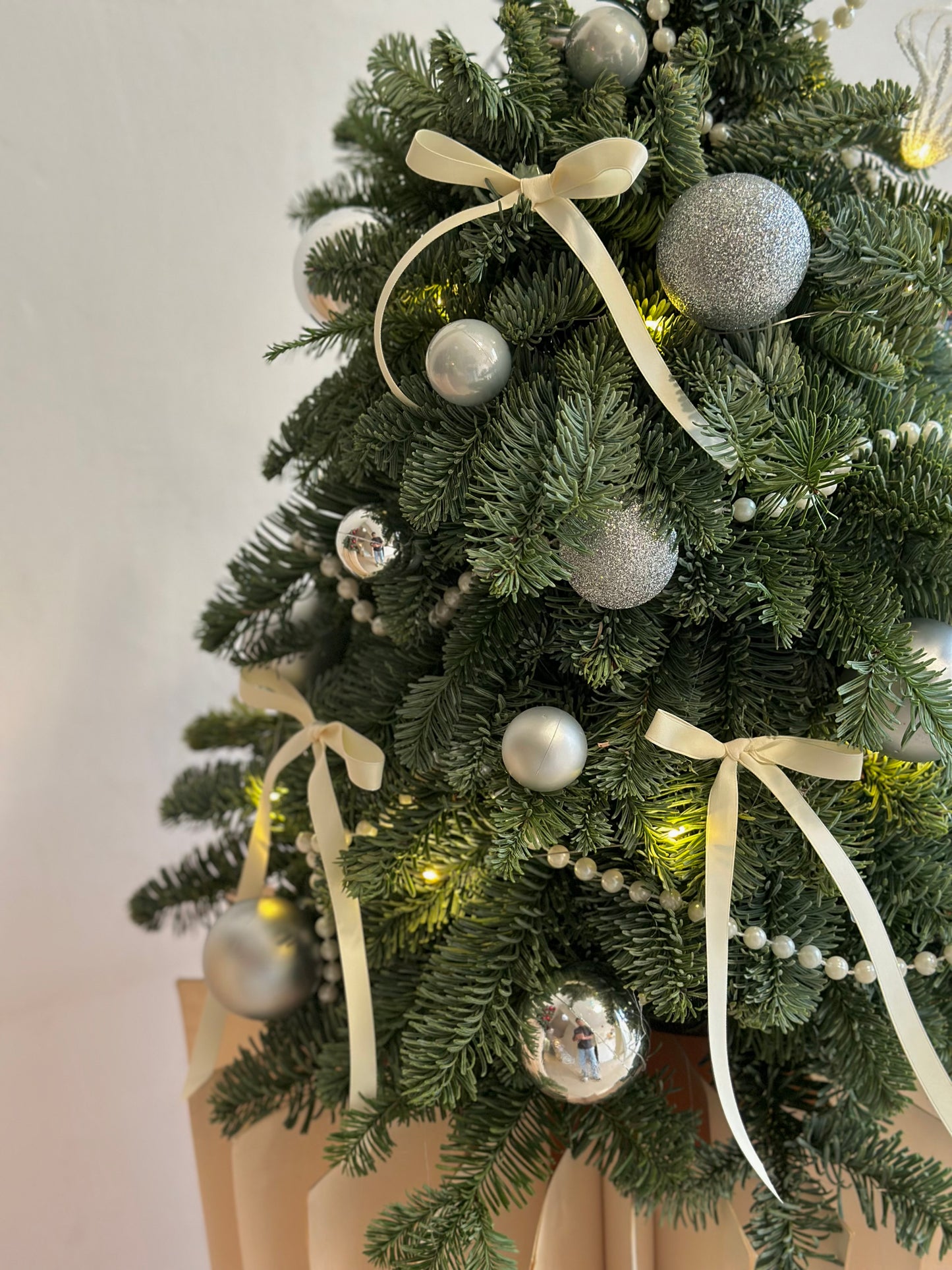 Winter Silver Glow Tree