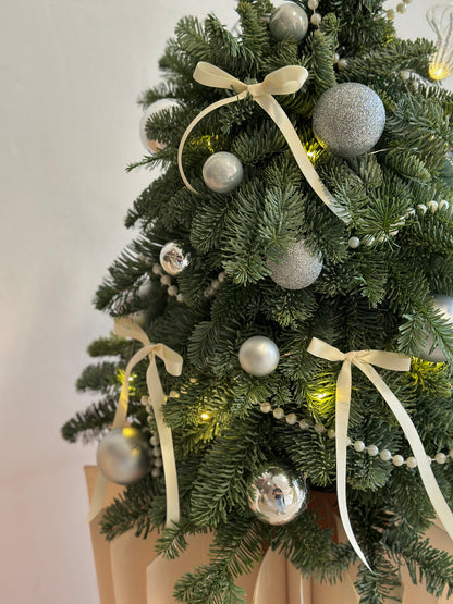 Winter Silver Glow Tree