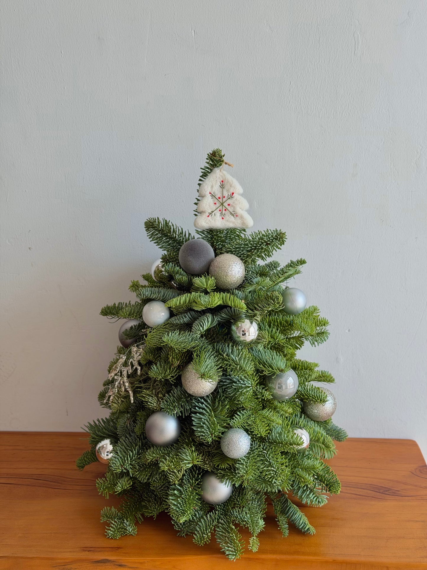 Silver Frost Winter Tree