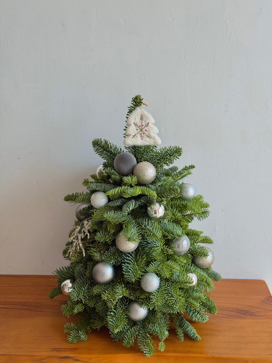 Silver Frost Winter Tree