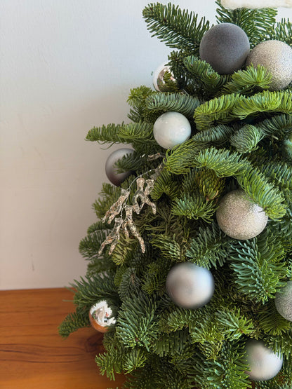 Silver Frost Winter Tree